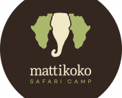 African Photography Safari Maasai Mara Mattikoko Lemek Conservancy