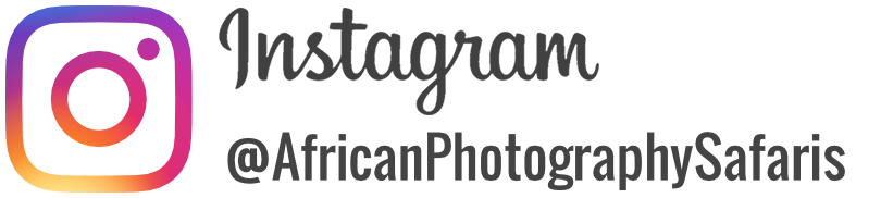 African Photography Safaris on Instagram