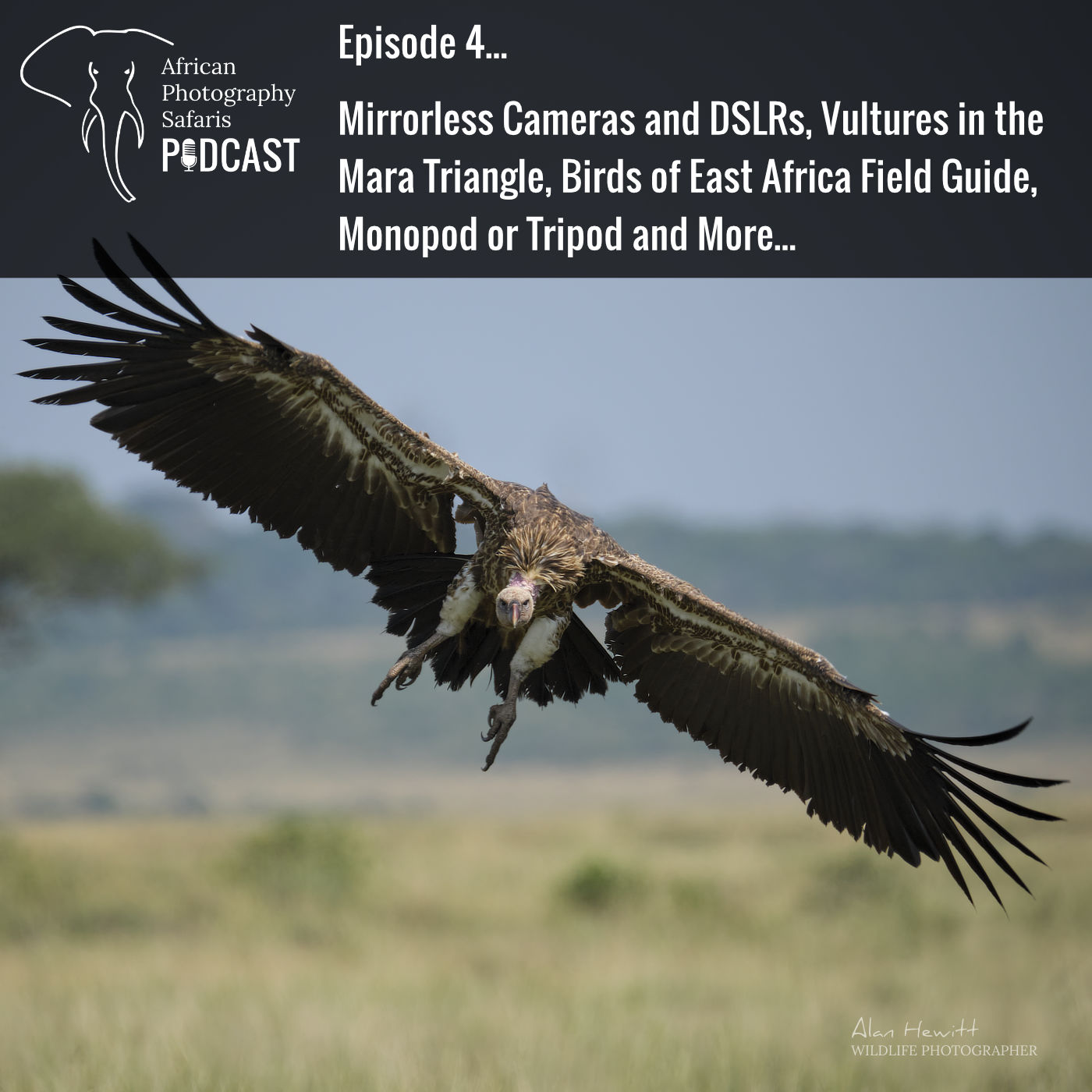 African Photography Safaris Podcast. Episode 4 - Mirrorless Cameras and DSLRs, Vultures in the Mara Triangle, Birds of East Africa Field Guide, Monopod and Tripod and More...