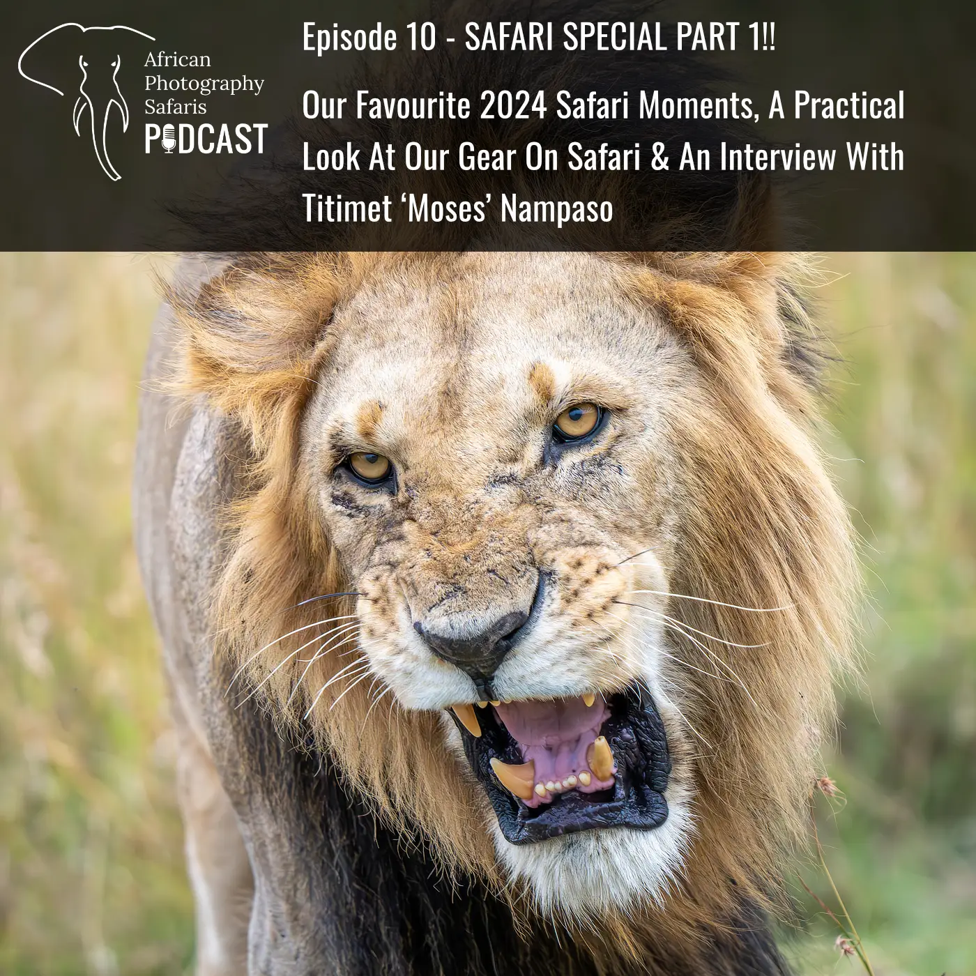 Episode 10… Safari Special Part 1 Recorded In The Maasai Mara! Our Favourite 2024 Safari Moments, A Practical Look At Our Gear On Safari & An Interview With Titimet ‘Moses’ Nampaso