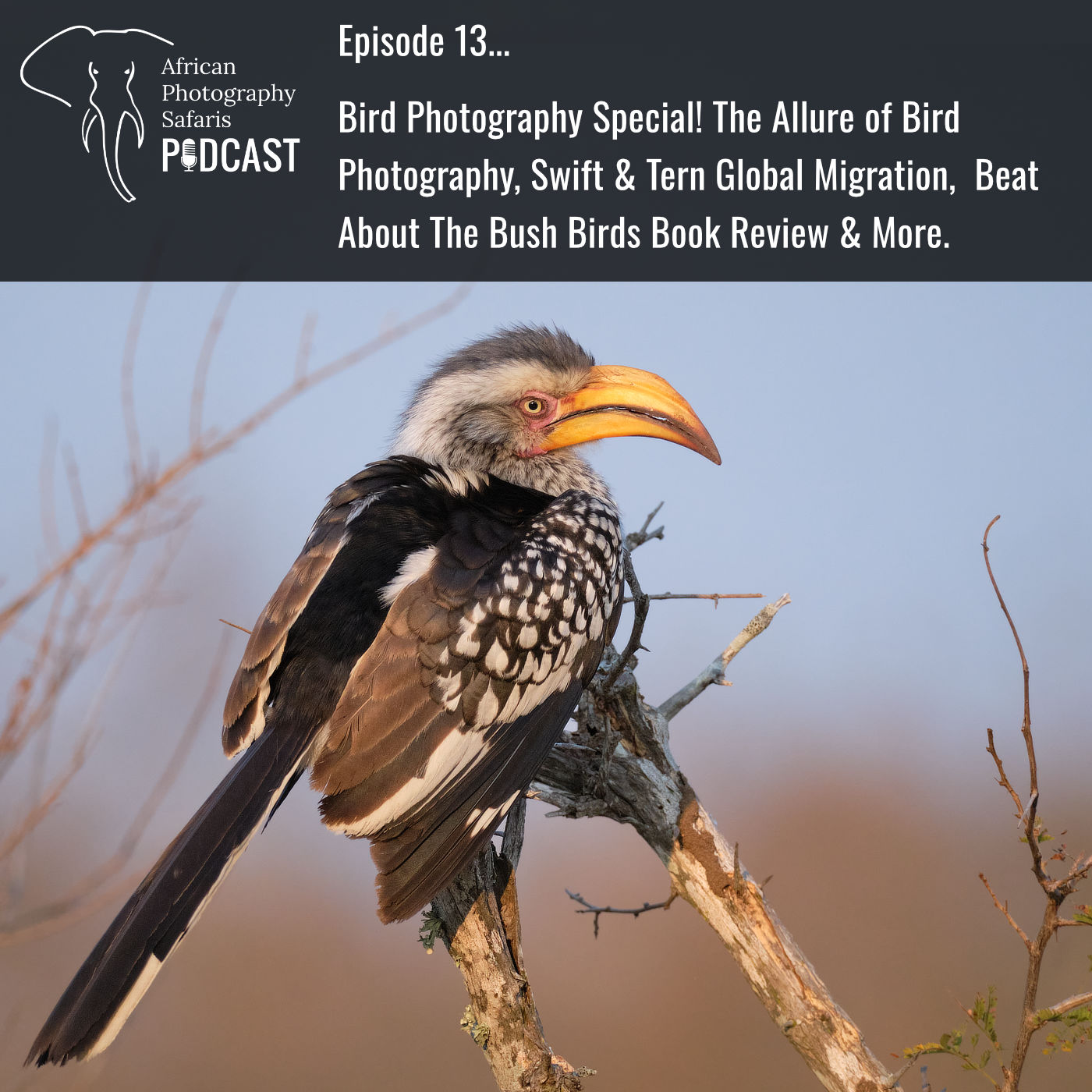 African Photography Safaris Podcast Episode 13