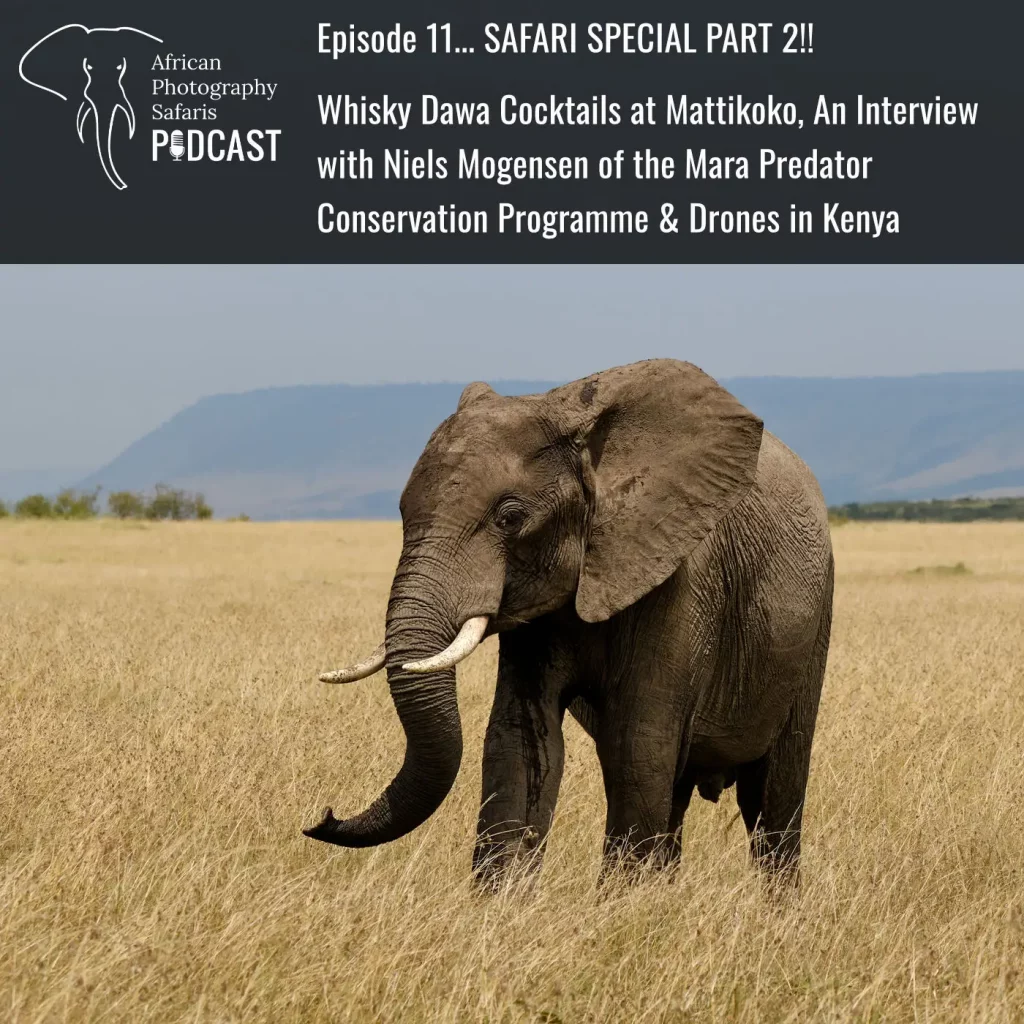 African Photograph Safaris Podcast Episode 11