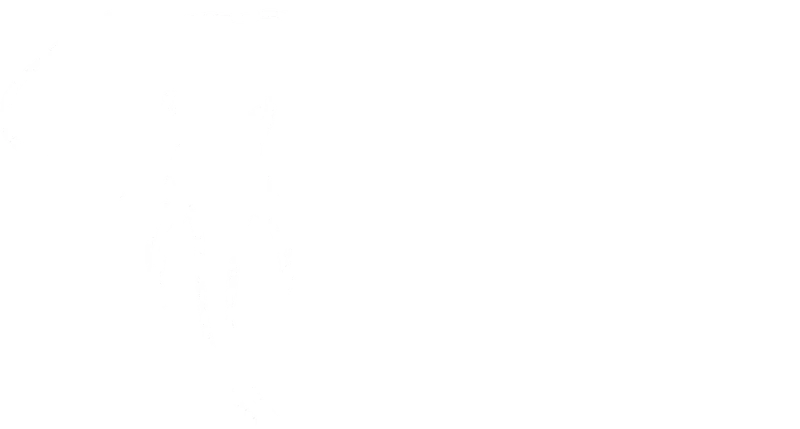 African Photography Safaris