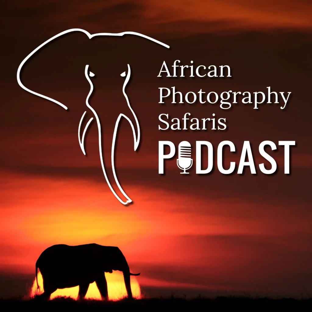 African Photography Safaris Podcast Elephant Sunset
