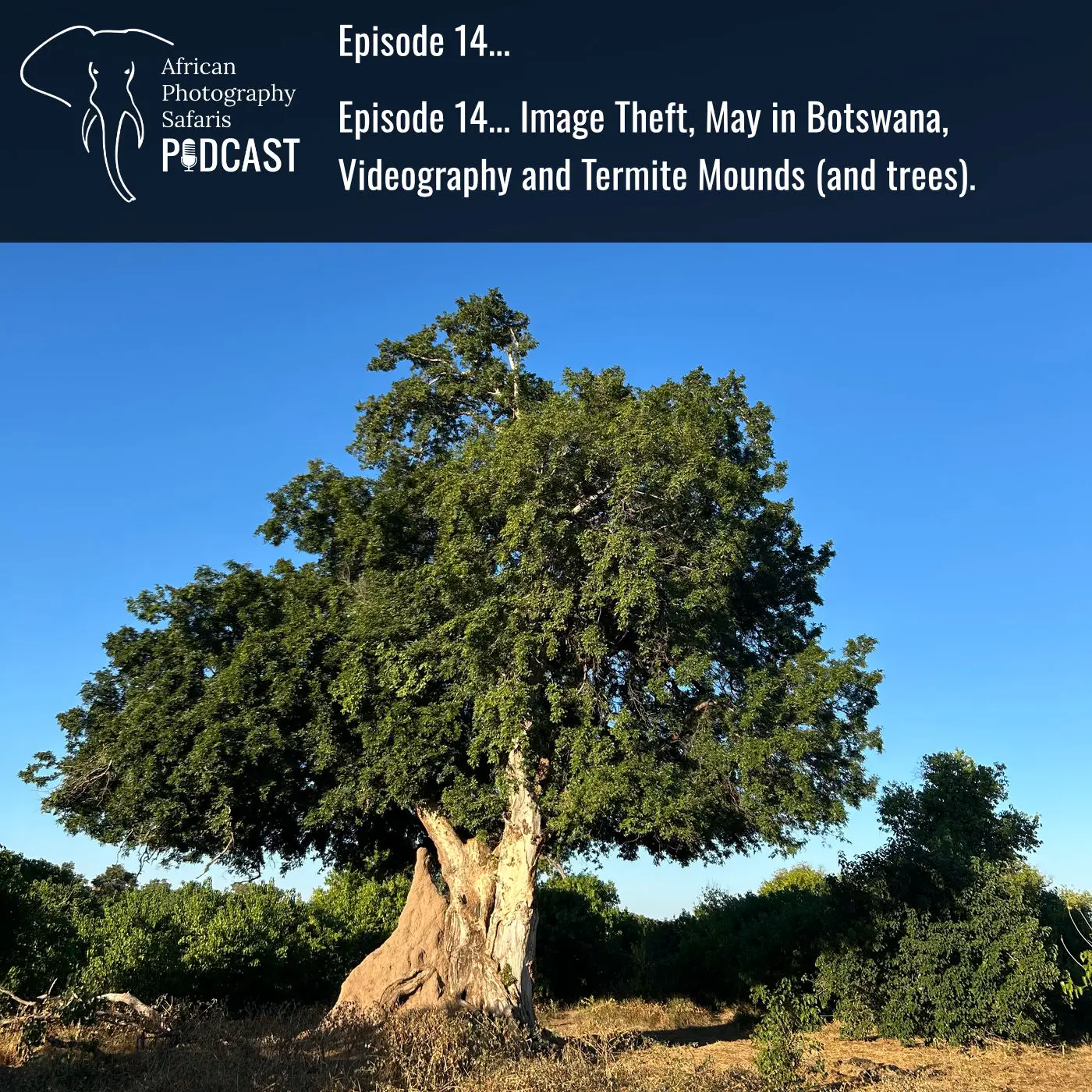 Episode 14… Image Theft, May in Botswana, Videography and Termite Mounds