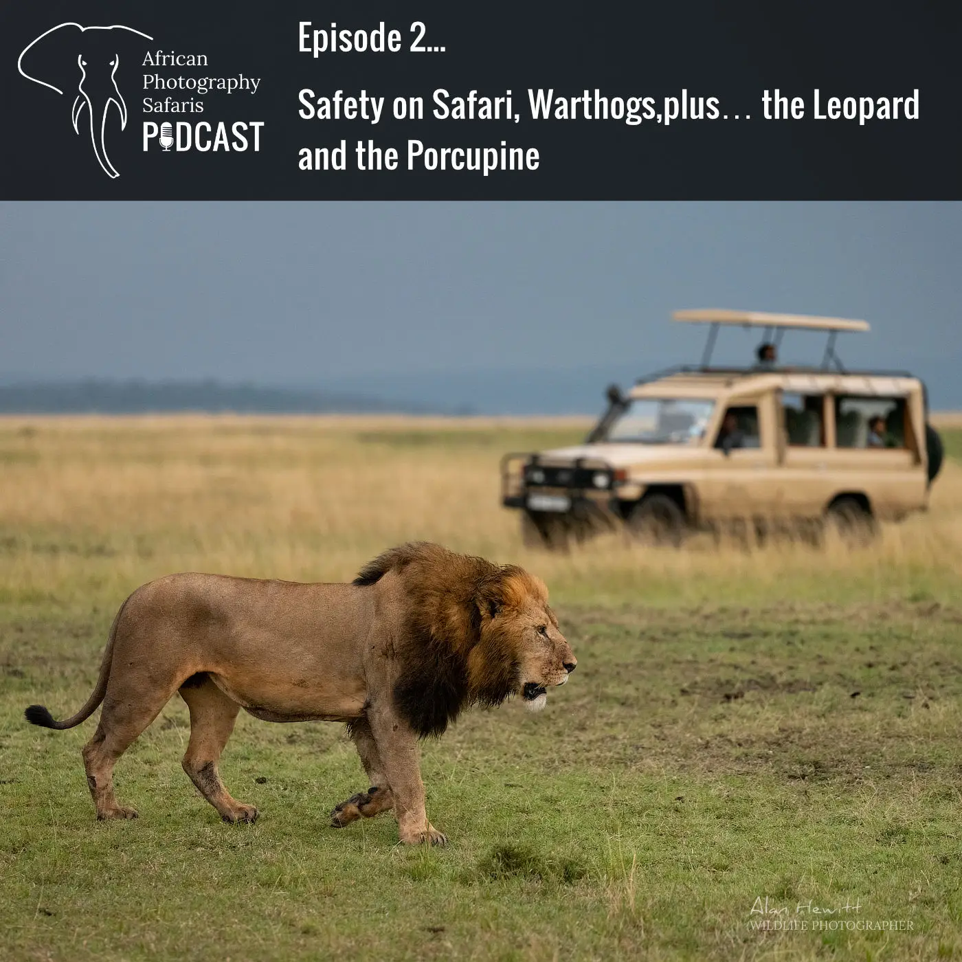 Episode 2 – Safety on Safari, Warthogs, plus… the Leopard and the Porcupine.