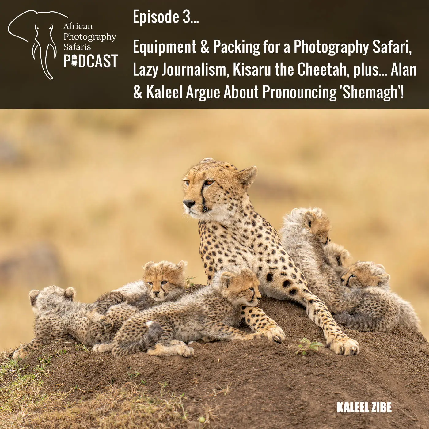 Episode 3 – Equipment & Packing for a Photography Safari, Lazy Journalism, Kisaru the Cheetah, plus… Alan & Kaleel Argue About Pronouncing ‘Shemagh’!