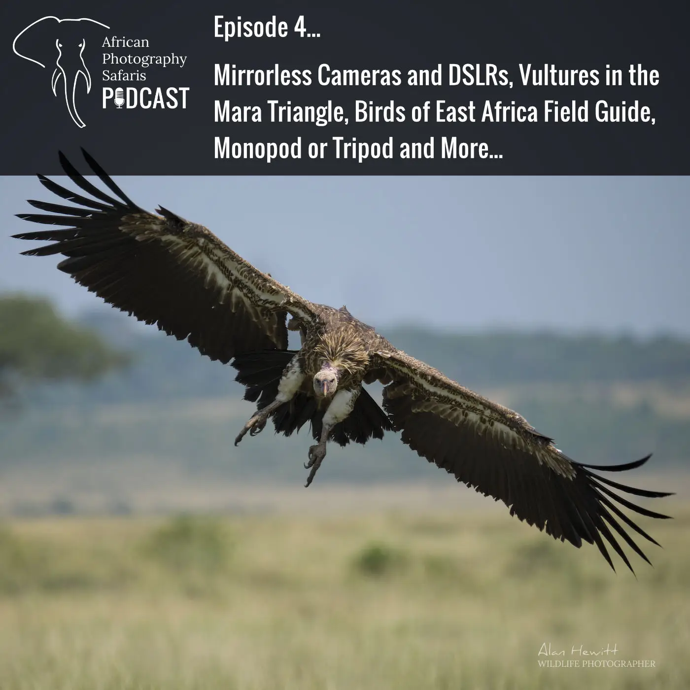 Episode 4 – Mirrorless Cameras, Birds of East Africa Field Guide, Monopod or Tripod and Vultures in the Mara Triangle.