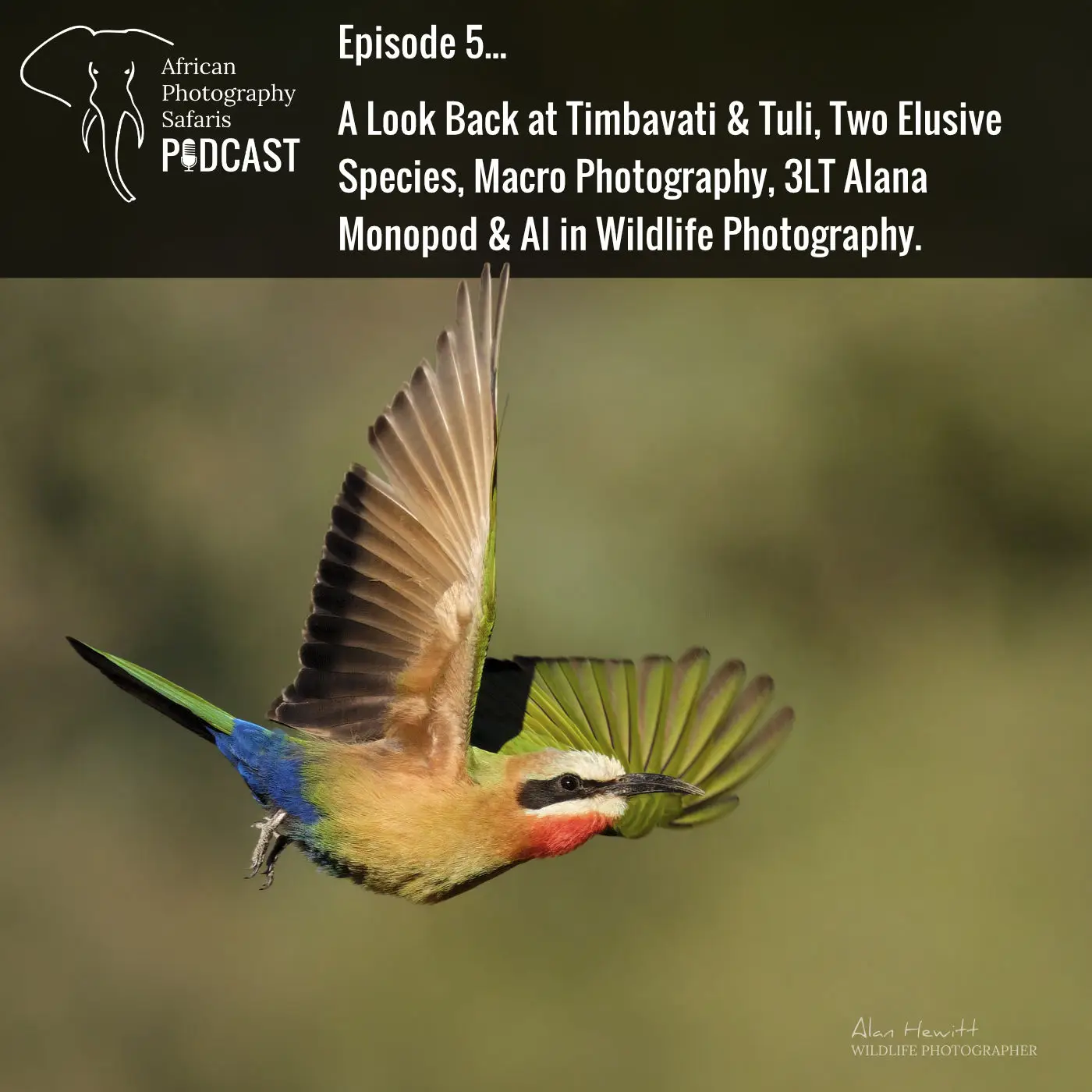 Episode 5 – A Look Back at Timbavati & Tuli, Two Elusive Species, Macro Photography, 3LT Alana Monopod & AI in Wildlife Photography