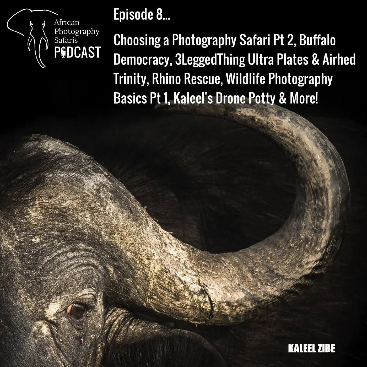 Episode 8 – Choosing a Photography Safari Pt 2, Buffalo Democracy, 3Legged Thing Ultra Plates & Airhed Trinity, Rhino Rescue, Wildlife Photography Basics Pt 1, Kaleel’s Drone Potty & More!