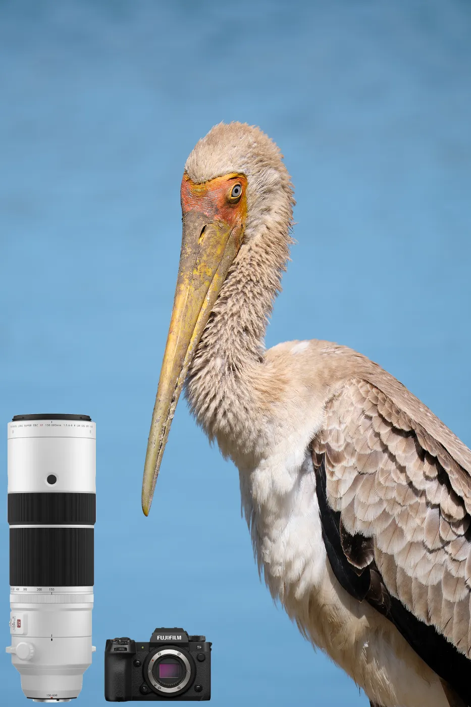 Complimentray FUJIFILM Camera & Lens Hire African Photography Safaris