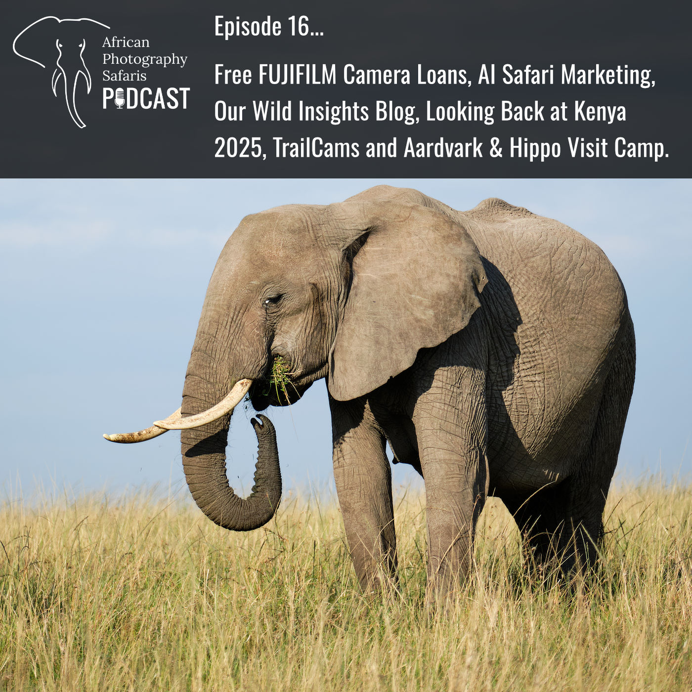 African Photography Safaris Podcast Episode 16