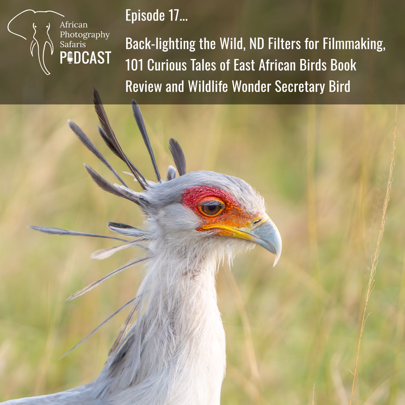 African Photography Safaris Podcast Episode 17