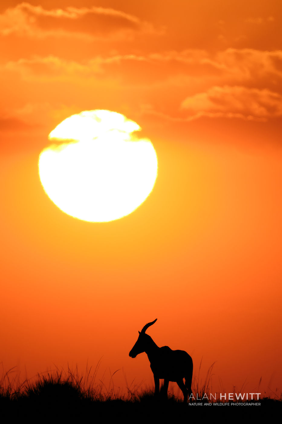 Topi sunset, using monopods on safari reduces arm strain when waiting for the moment.