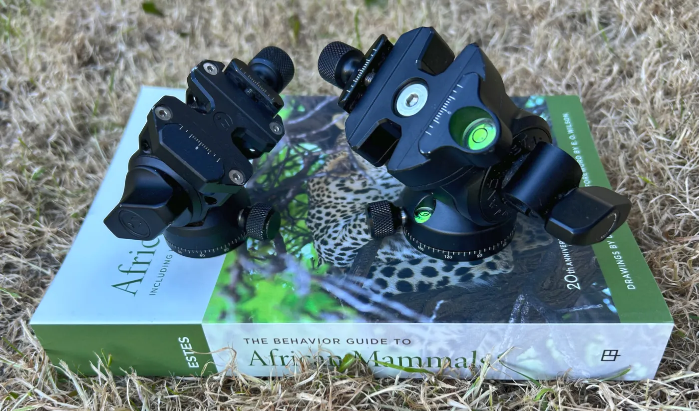 Monopod on Safari, 3 Legged Thing AirHed Trinity and AirHed Vision