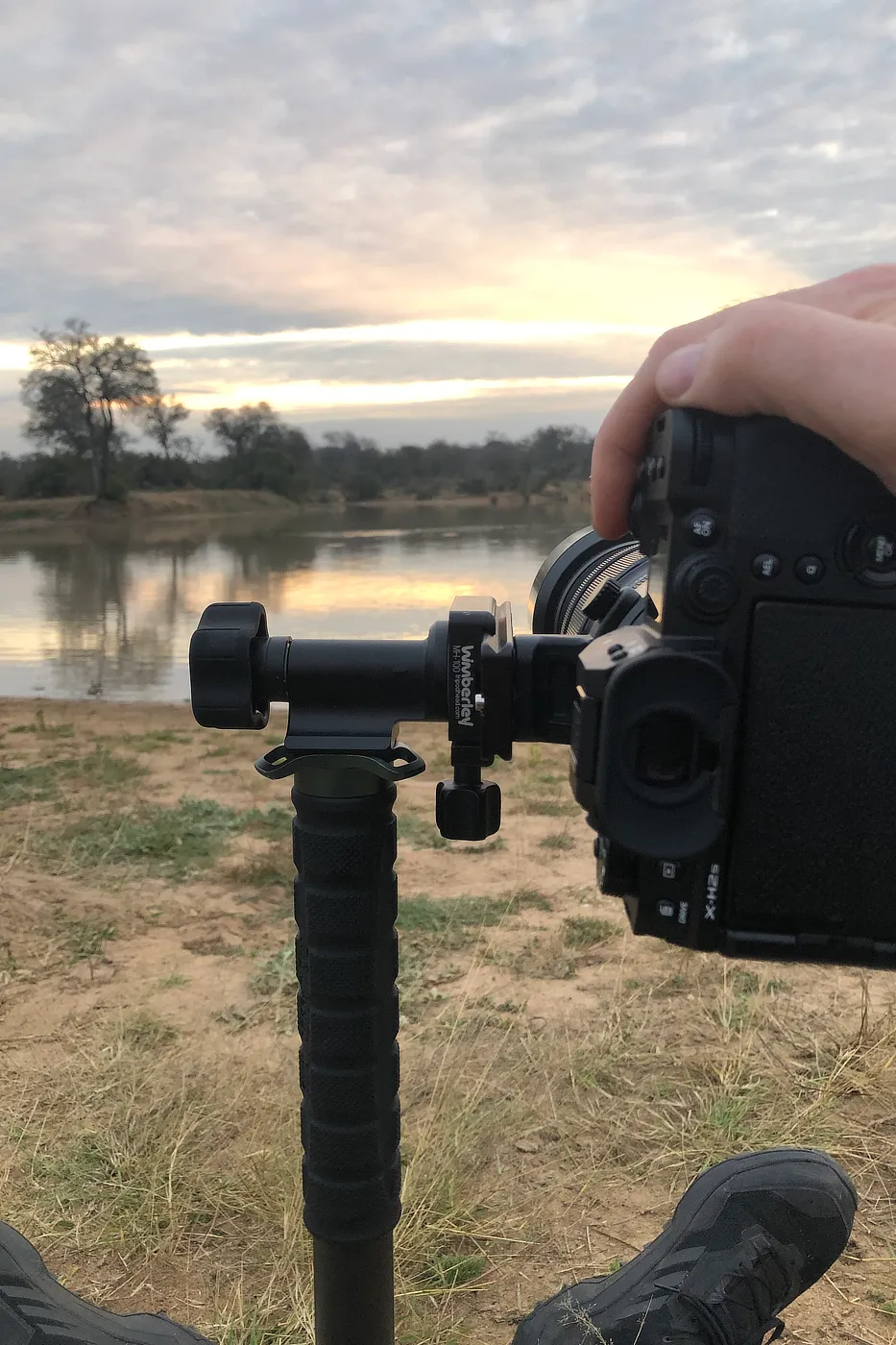 The Wimberley MH-100 gimbal monopod head with its offset centre of gravity.