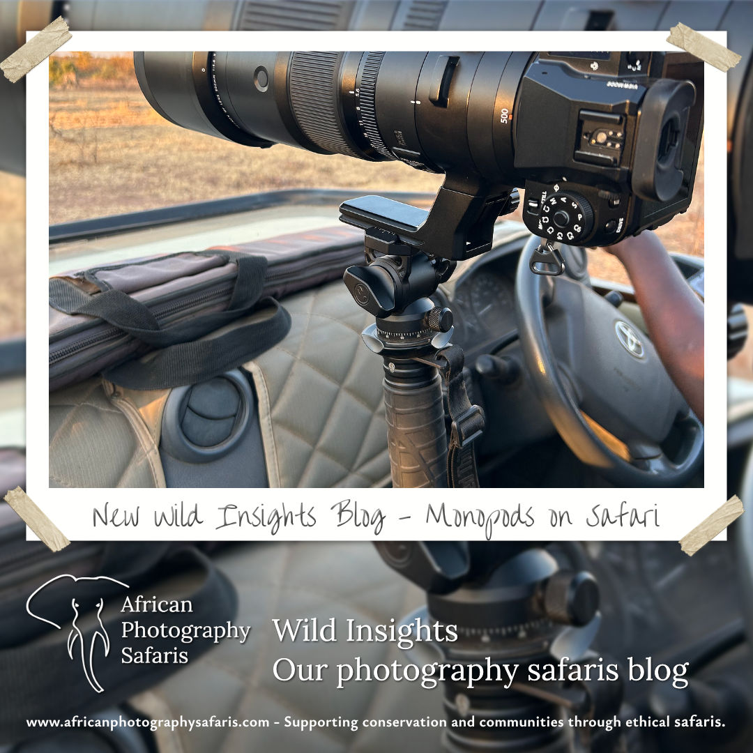 Monopods on Safari