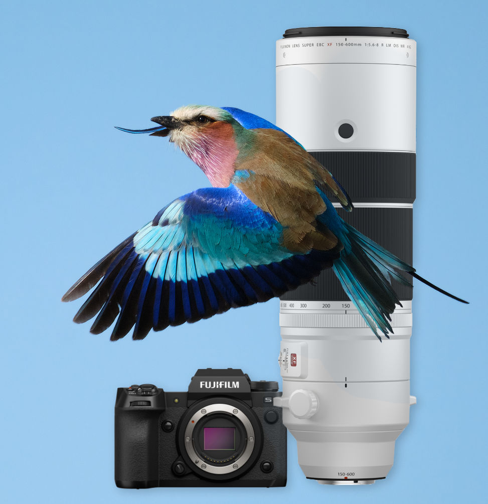Photography Safari Camera & Lens Hire