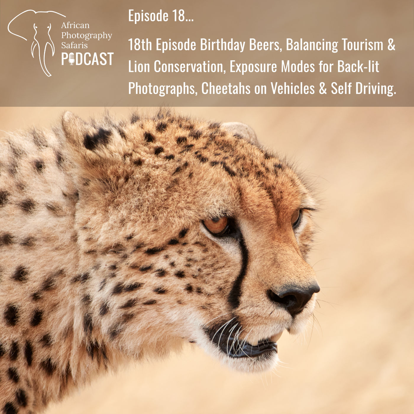 African Photography Safaris Podcast Episode 18