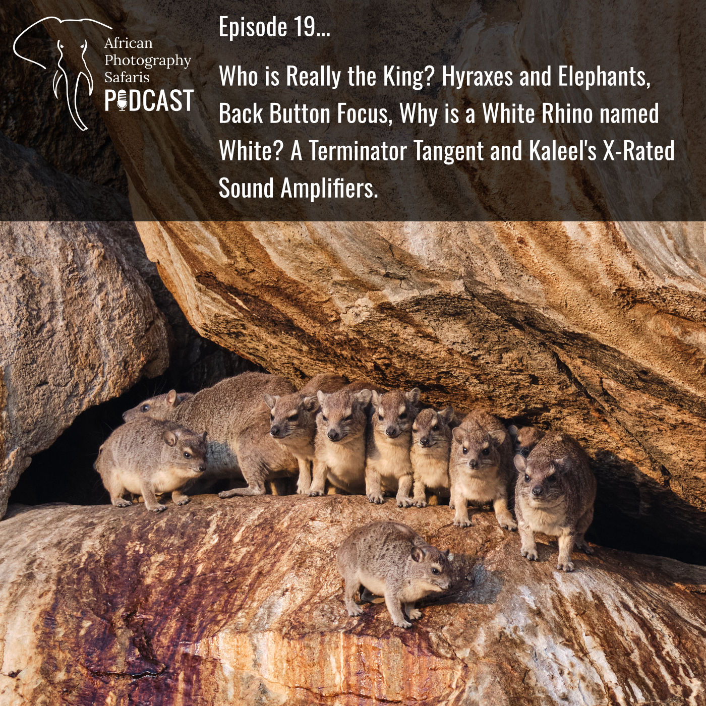 African Photography Safaris Podcast Episode 19