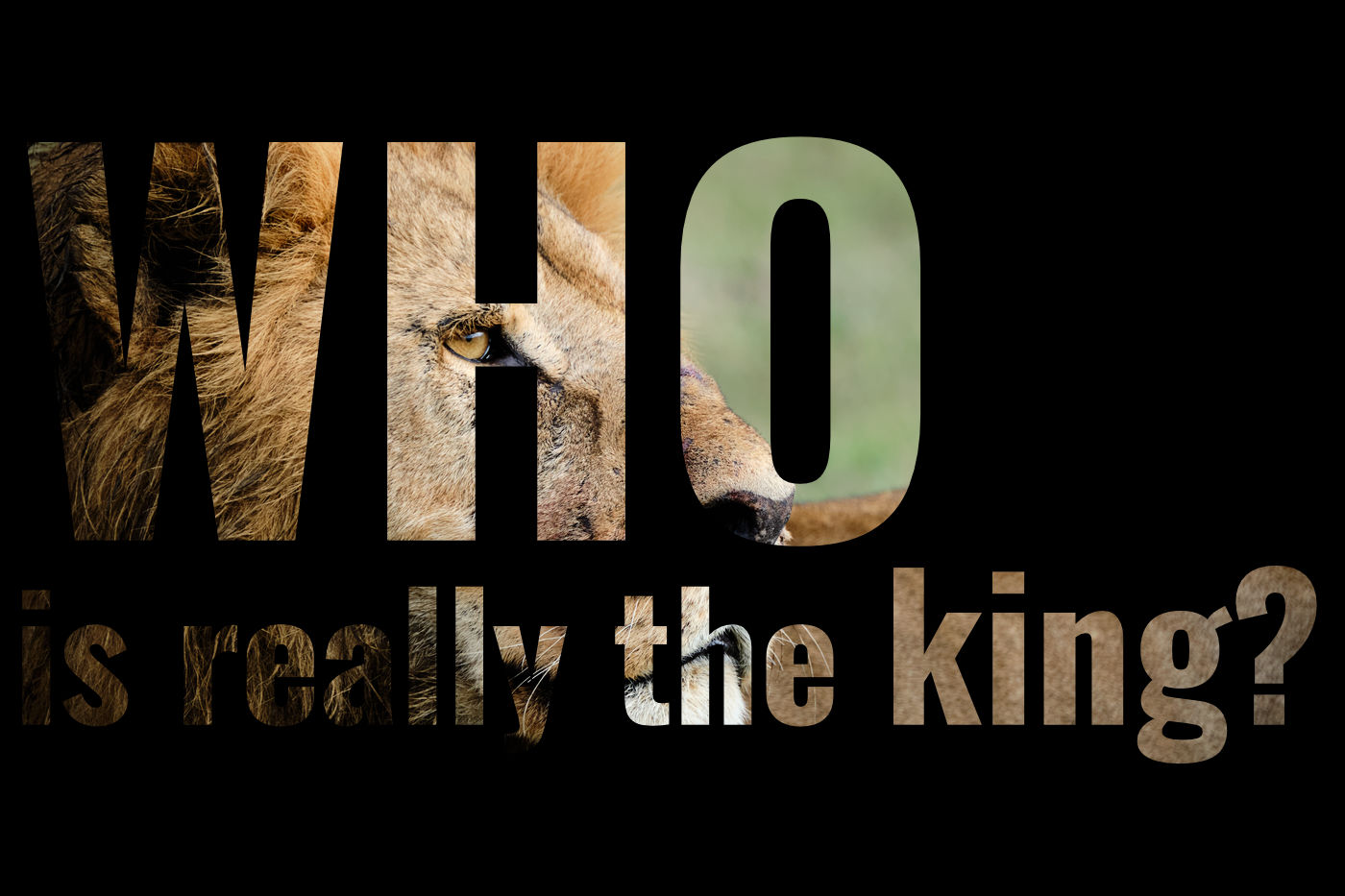 Who is Really the King?
